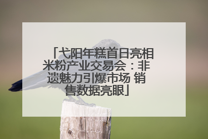 弋阳年糕首日亮相米粉产业交易会：非遗魅力引爆市场 销售数据亮眼