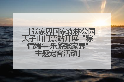张家界国家森林公园天子山门票站开展“粽情端午·乐游张家界”主题宠客活动