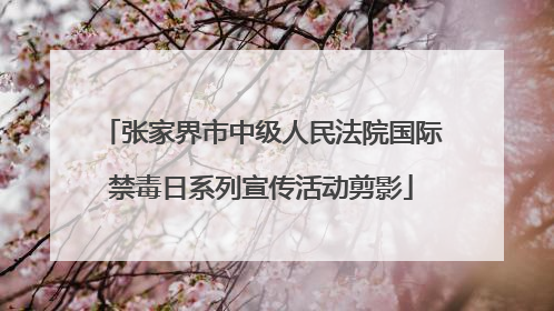 张家界市中级人民法院国际禁毒日系列宣传活动剪影