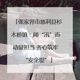 张家界市慈利县杉木桥镇：闻“汛”而动显担当 齐心筑牢“安全堤”