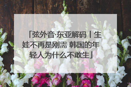 弦外音·东亚解码丨生娃不再是刚需 韩国的年轻人为什么不敢生