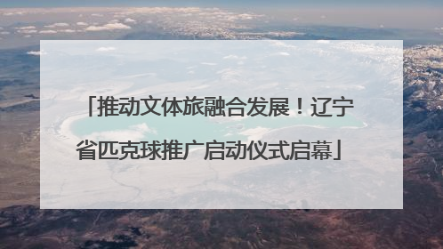 推动文体旅融合发展！辽宁省匹克球推广启动仪式启幕