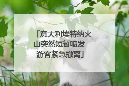 意大利埃特纳火山突然短暂喷发 游客紧急撤离