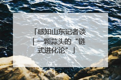 感知山东记者谈｜一颗蒜头的“链式进化论”