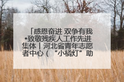 感恩奋进 双争有我•致敬残疾人工作先进集体丨河北省青年志愿者中心（“小橘灯”助残接力计划实施团队）：用温暖陪伴，守护特殊孩子成长