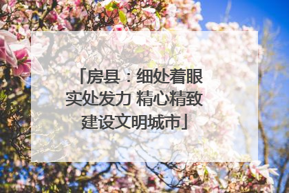 房县：细处着眼 实处发力 精心精致建设文明城市