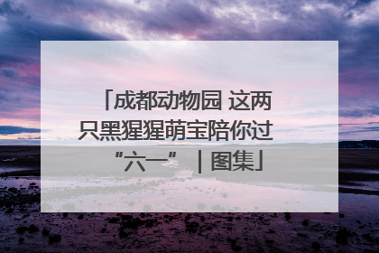 成都动物园 这两只黑猩猩萌宝陪你过“六一”｜图集