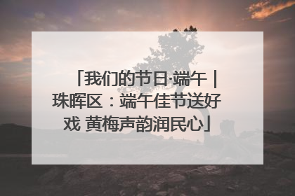 我们的节日·端午｜珠晖区：端午佳节送好戏 黄梅声韵润民心