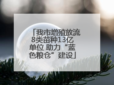 我市增殖放流8类苗种13亿单位 助力“蓝色粮仓”建设