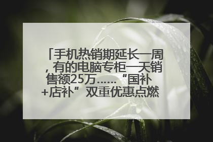 手机热销期延长一周，有的电脑专柜一天销售额25万……“国补+店补”双重优惠点燃德州“考后经济”