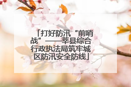 打好防汛“前哨战”——莘县综合行政执法局筑牢城区防汛安全防线