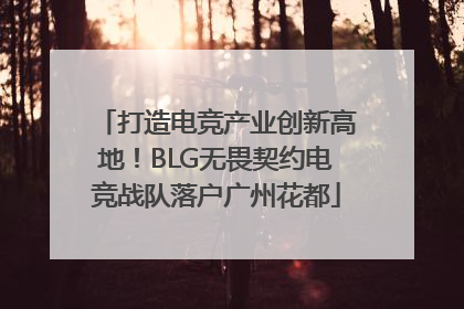 打造电竞产业创新高地！BLG无畏契约电竞战队落户广州花都
