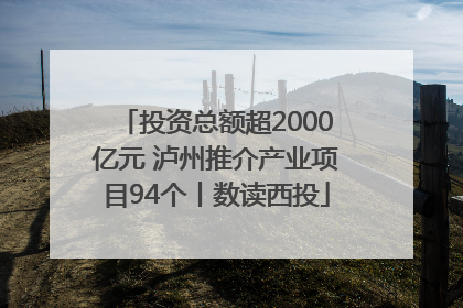 投资总额超2000亿元 泸州推介产业项目94个丨数读西投
