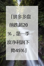 拼多多盘前跌超20%，第一季度净利润下降45%
