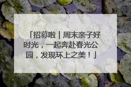 招募啦｜周末亲子好时光，一起奔赴春光公园，发现环上之美！