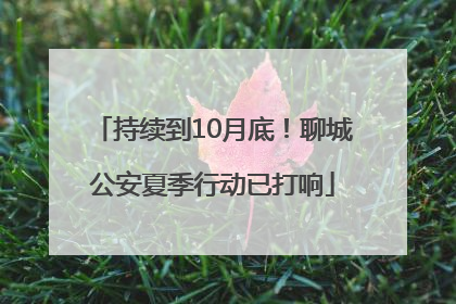 持续到10月底！聊城公安夏季行动已打响