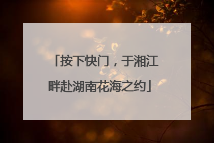 按下快门，于湘江畔赴湖南花海之约