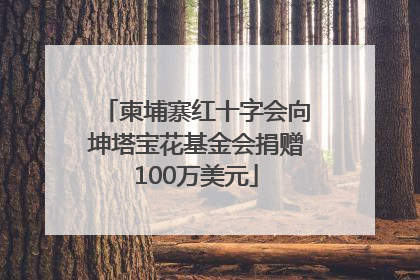 柬埔寨红十字会向坤塔宝花基金会捐赠100万美元