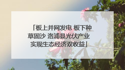 板上并网发电 板下种草固沙 洛浦县光伏产业实现生态经济双收益