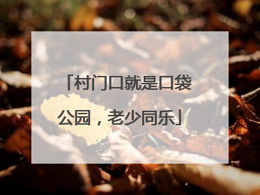 村门口就是口袋公园，老少同乐