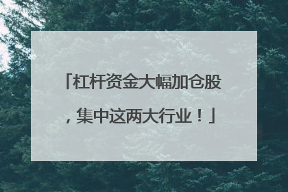 杠杆资金大幅加仓股，集中这两大行业！