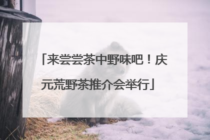来尝尝茶中野味吧！庆元荒野茶推介会举行