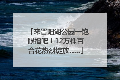 来晋阳湖公园一饱眼福吧！12万株百合花热烈绽放……