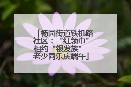杨园街道铁机路社区：“红领巾”相约“银发族” 老少同乐庆端午