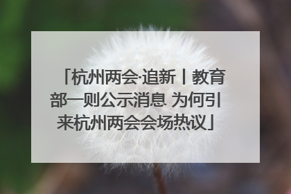 杭州两会·追新丨教育部一则公示消息 为何引来杭州两会会场热议