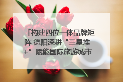构建四位一体品牌矩阵 德阳深耕“三星堆+”赋能国际旅游城市建设｜文旅局长说