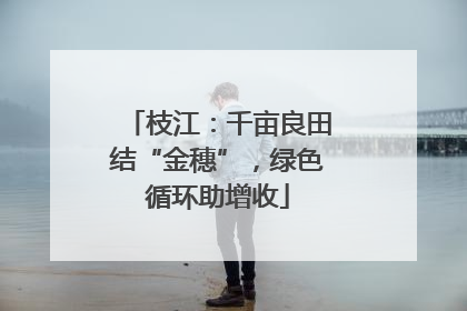 枝江：千亩良田结“金穗”，绿色循环助增收