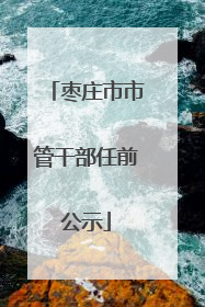 枣庄市市管干部任前公示