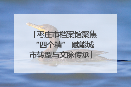 枣庄市档案馆聚焦“四个精” 赋能城市转型与文脉传承