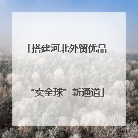 搭建河北外贸优品“卖全球”新通道