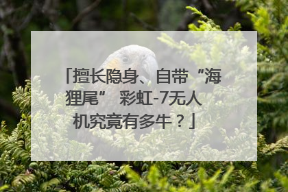 擅长隐身、自带“海狸尾” 彩虹-7无人机究竟有多牛？