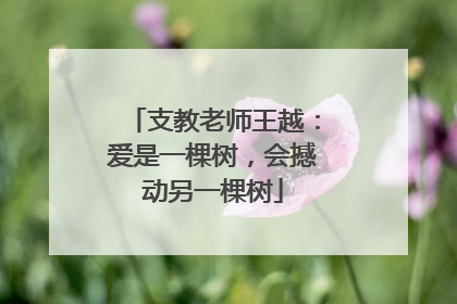 支教老师王越：爱是一棵树，会撼动另一棵树