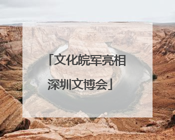 文化皖军亮相深圳文博会