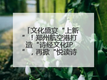 文化盛宴“上新”！郑州航空港打造“诗经文化IP”，再掀“悦读诗经 认识家乡路”活动热潮