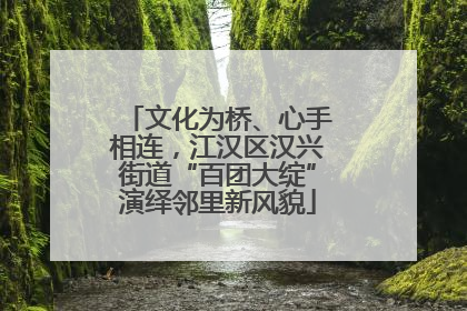 文化为桥、心手相连，江汉区汉兴街道“百团大绽”演绎邻里新风貌