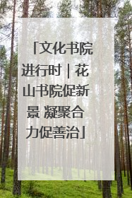文化书院进行时｜花山书院促新景 凝聚合力促善治