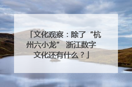 文化观察：除了“杭州六小龙” 浙江数字文化还有什么？