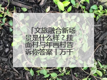 文旅融合新场景是什么样？挂面村与年画村告诉你答案丨万千气象看四川