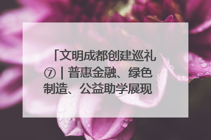 文明成都创建巡礼⑦｜普惠金融、绿色制造、公益助学展现城市文明底色