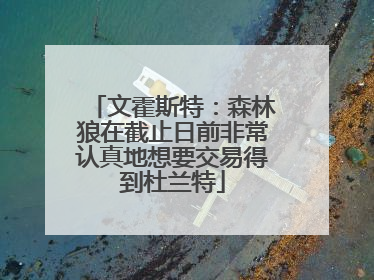 文霍斯特：森林狼在截止日前非常认真地想要交易得到杜兰特