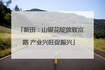 新田：山银花绽放致富路 产业兴旺促振兴