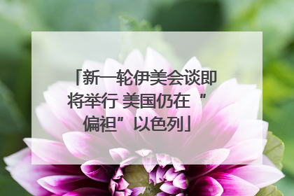 新一轮伊美会谈即将举行 美国仍在“偏袒”以色列