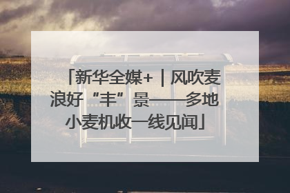 新华全媒+｜风吹麦浪好“丰”景——多地小麦机收一线见闻