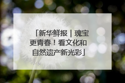 新华鲜报｜瑰宝更青春！看文化和自然遗产新光彩