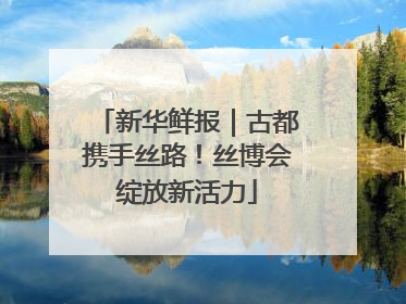 新华鲜报｜古都携手丝路！丝博会绽放新活力