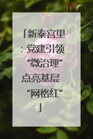 新泰宫里：党建引领“微治理” 点亮基层“网格红”